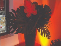 WhatsApp Image 2025-03-26 at 21.13.53 (3).jpeg